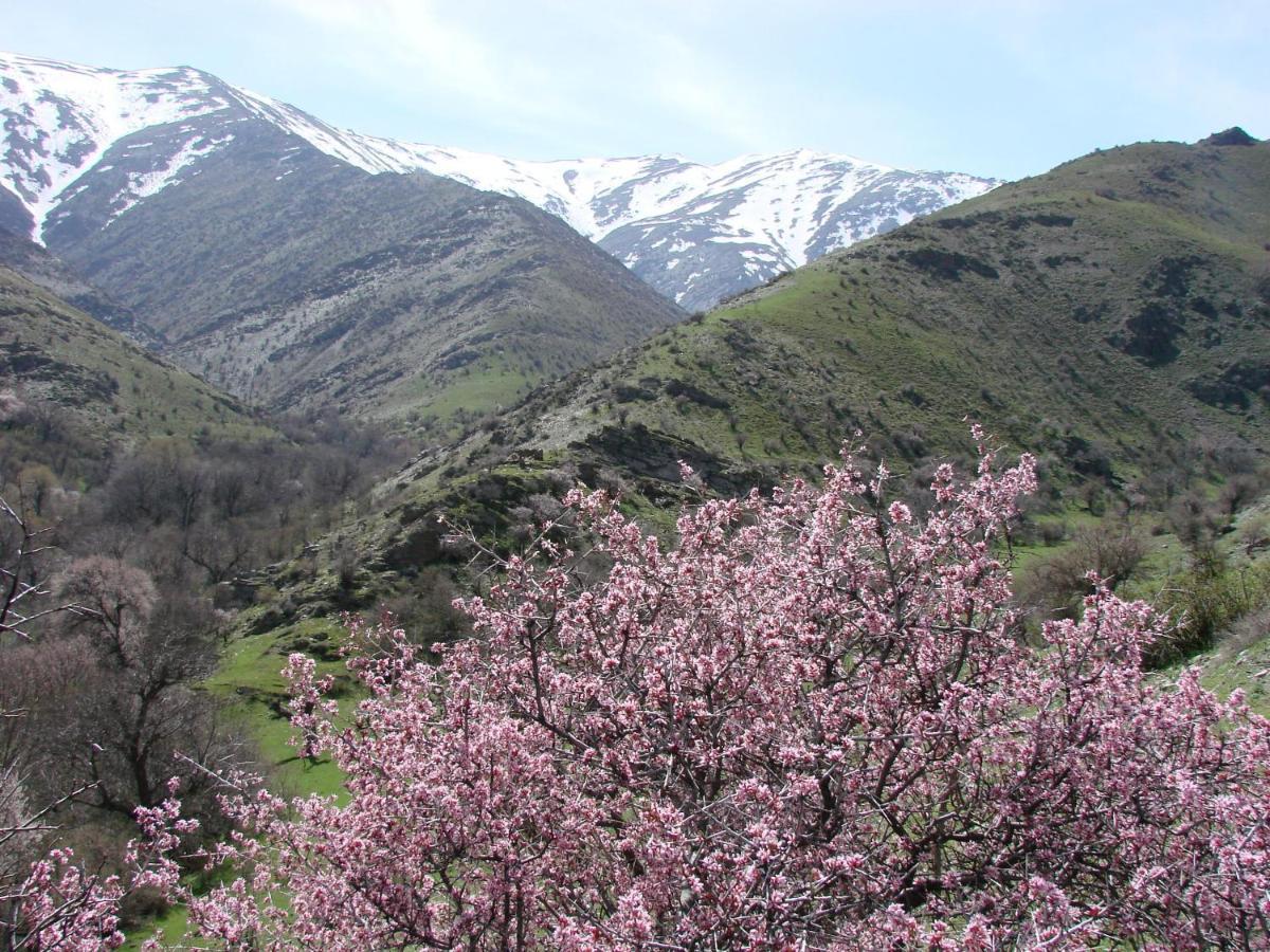 Hayat Nuratau Mountain Guesthouse Yukary-Ukhum Extérieur photo