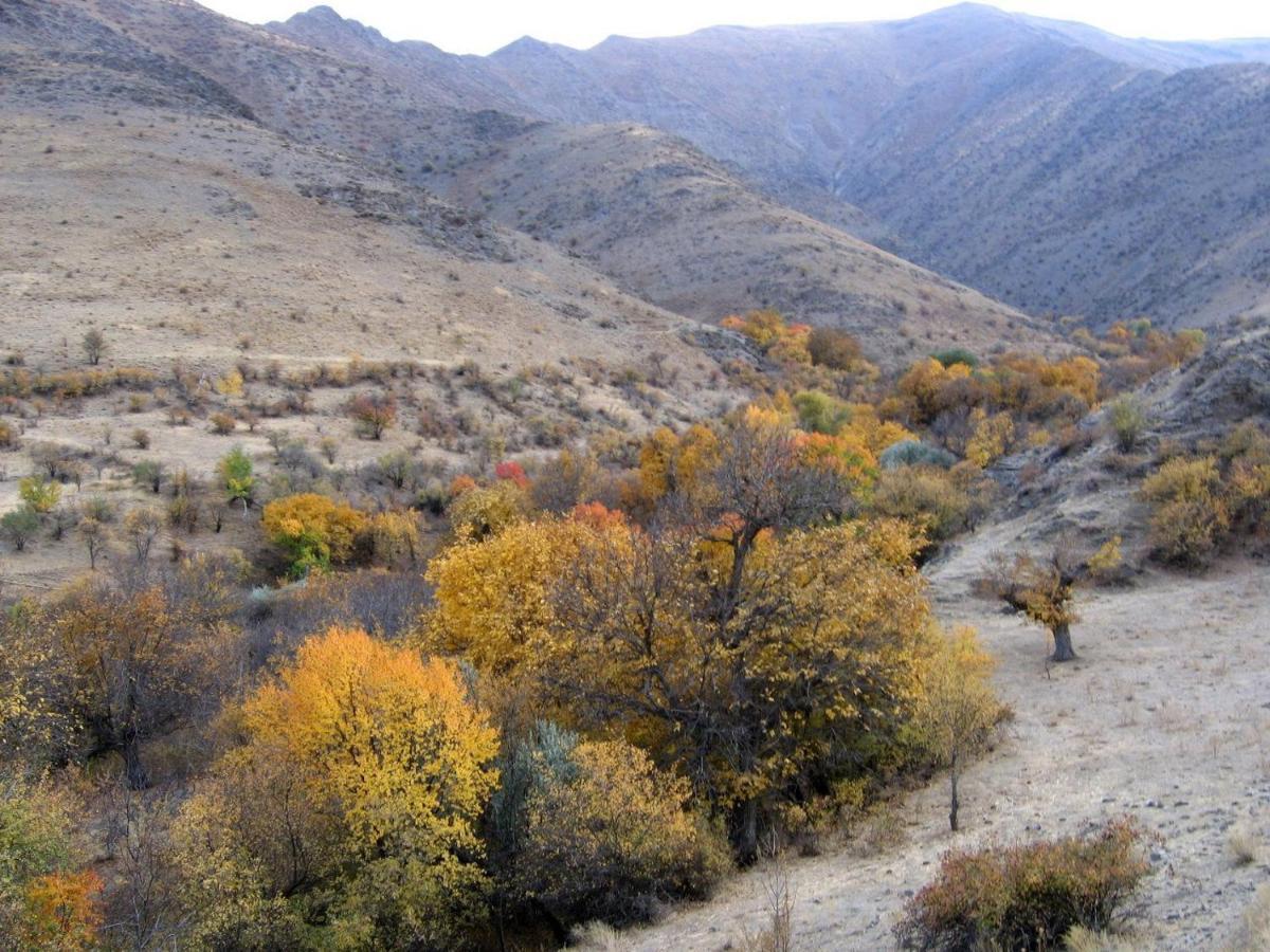 Hayat Nuratau Mountain Guesthouse Yukary-Ukhum Extérieur photo